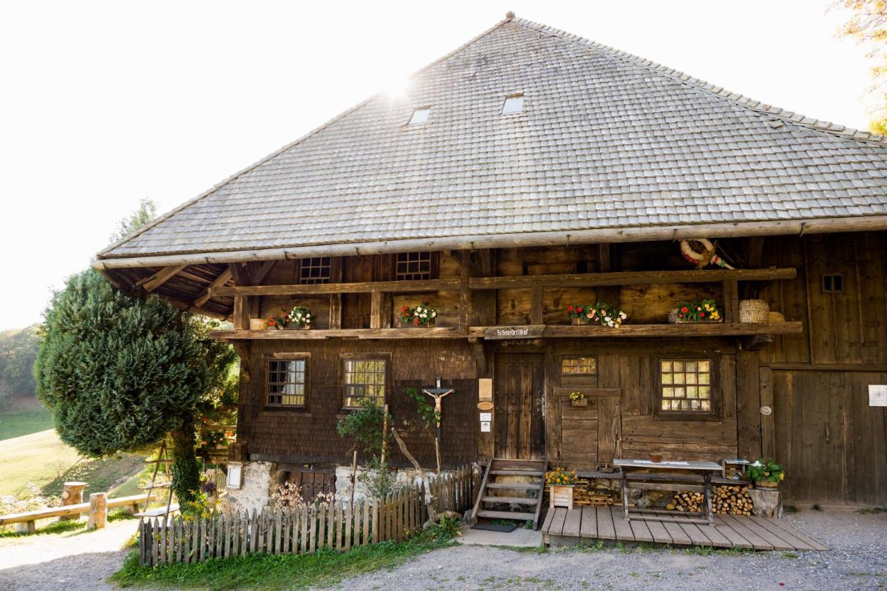 Berghaus Freiburg - Appartement Hotel Auf Dem Schauinsland Oberried  Exterior photo